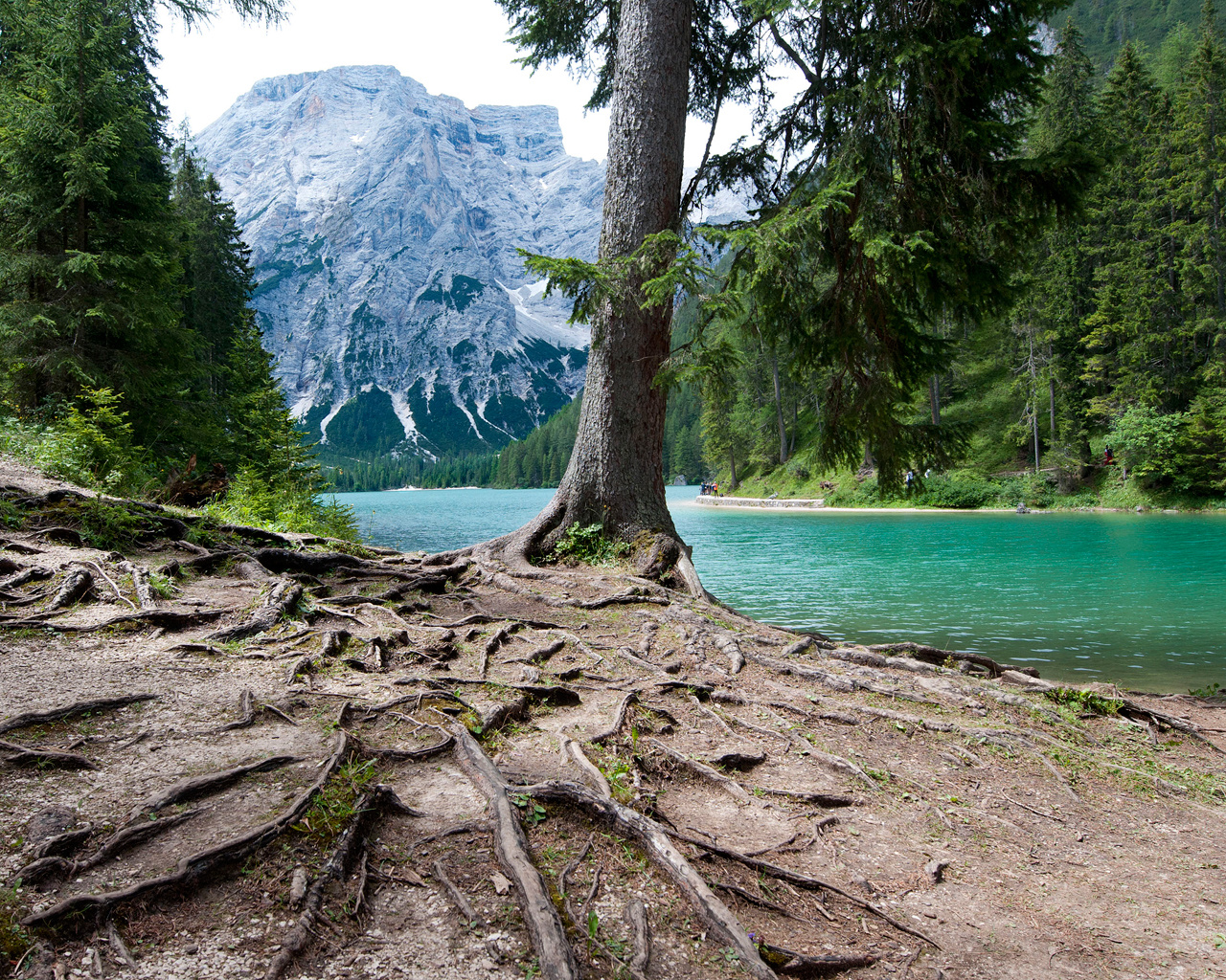 02817 lagodibraies 1280x1024