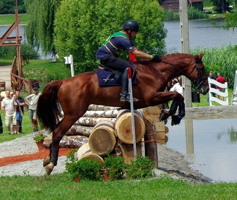 4849 GIDRAN RAZBEG I-2 ''SOBRI''5