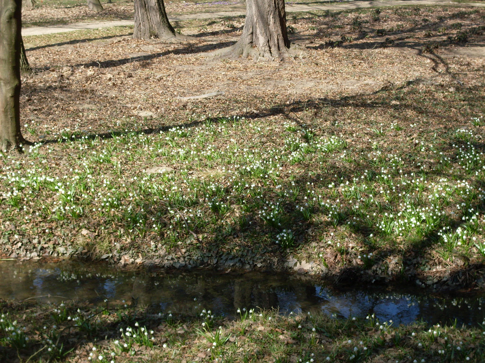 Szombathely Arboretum 012