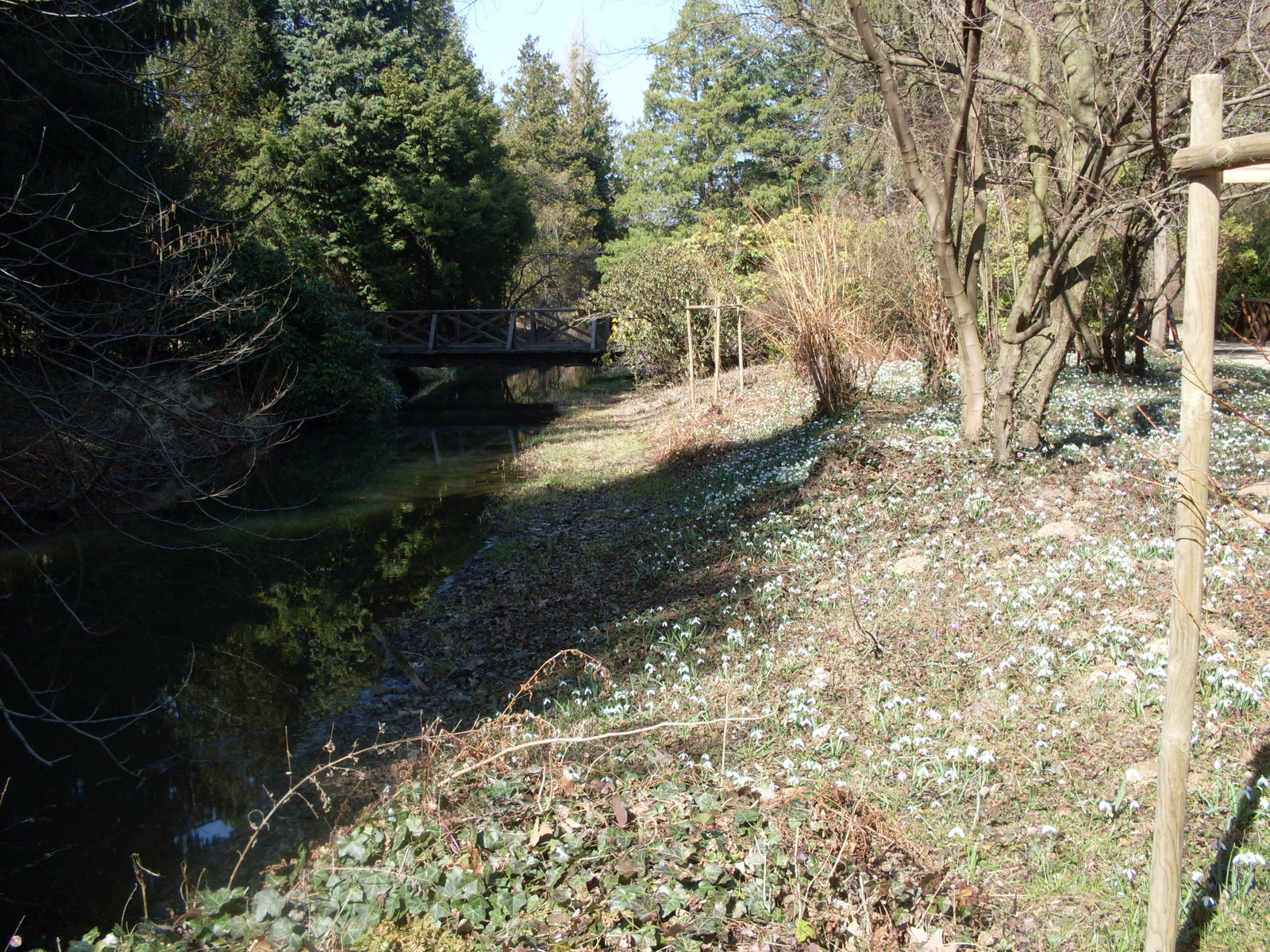 Szombathely Arboretum 037