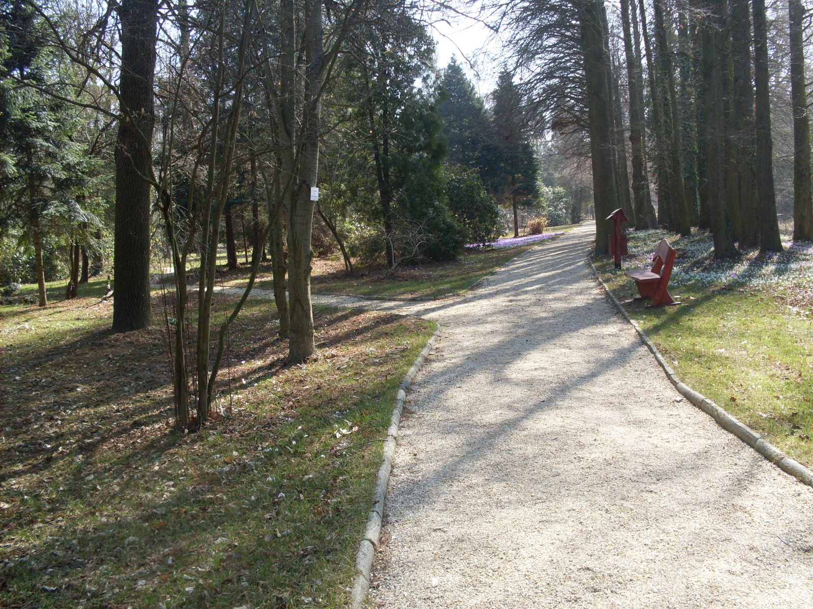 Szombathely Arboretum 038