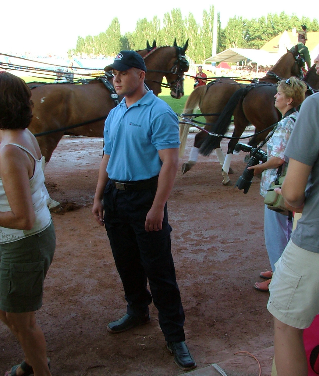 2004 Négyesfogathajtó Vb Kecskemét - Őrmester