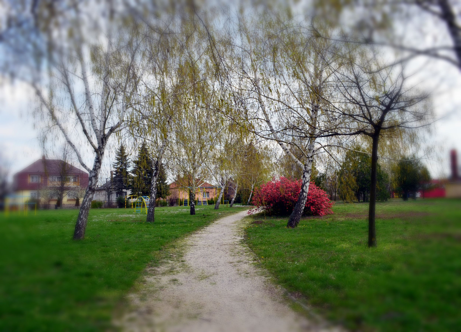 BeFunky Tilt-Shift 2.jpg