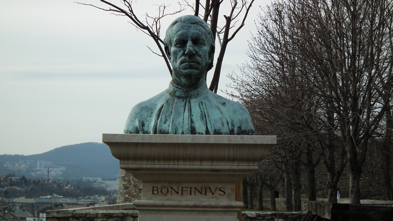 Bonfinius