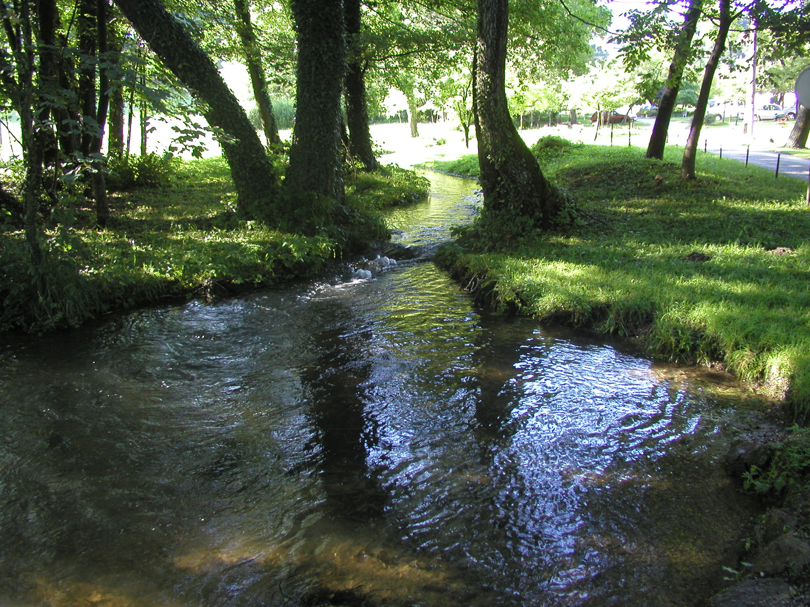 Patak torkolat