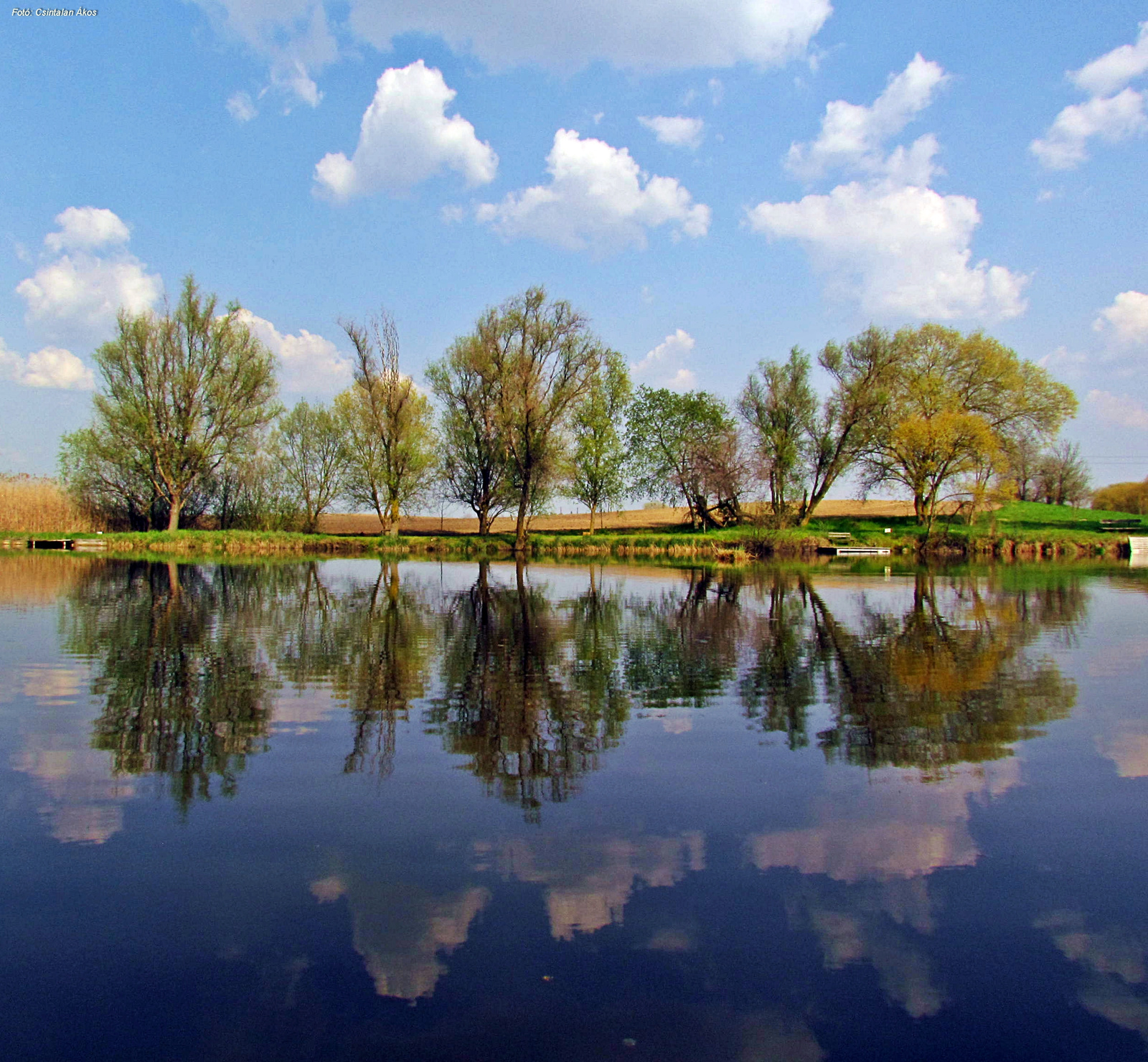 Tükör