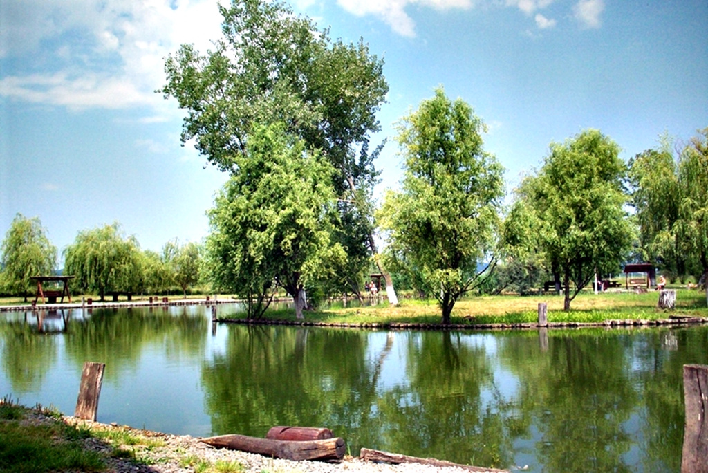 Tükörkép.Sáromberke-horgászcentrum, Erdély