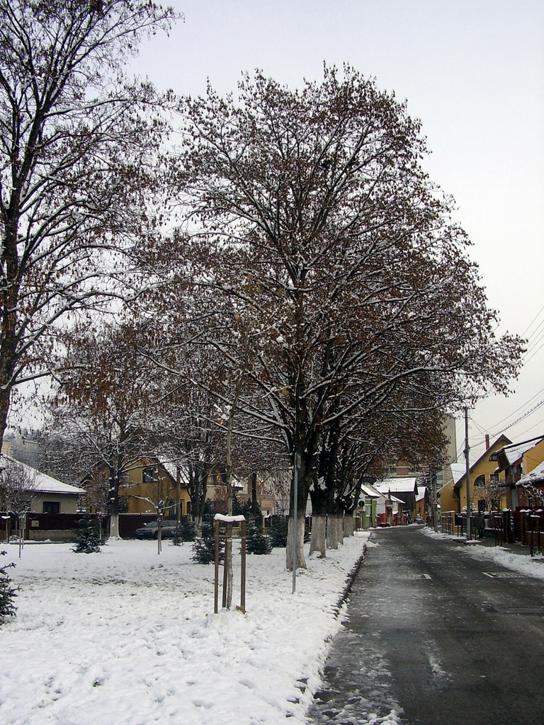 Marosvásárhely, téli hangulat