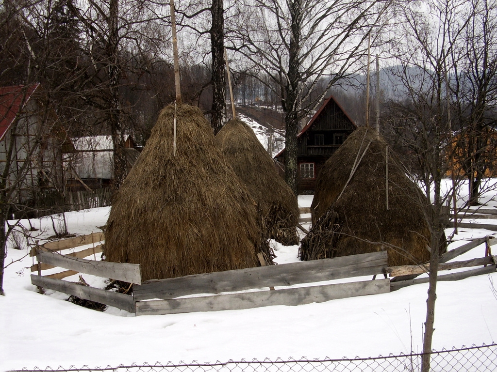 boglyák