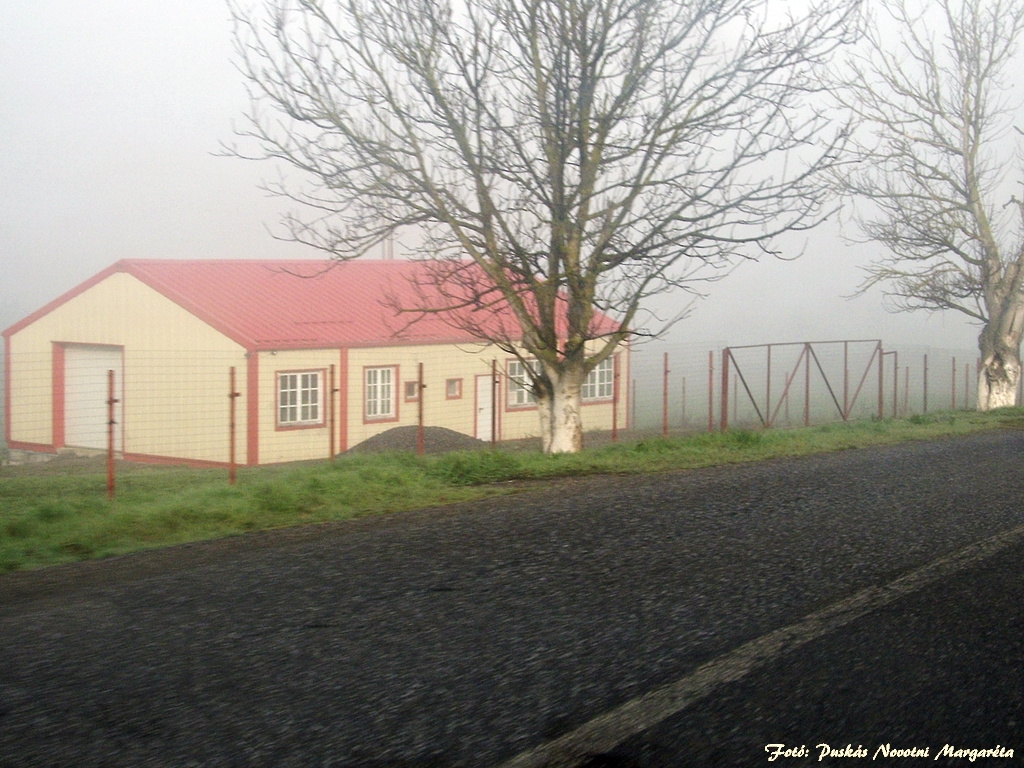 ködbe borulva (2013 04 11) (fotózva a szélvédőn keresztül) (05)