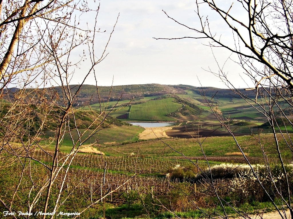 Mezőkölpény, Erdély