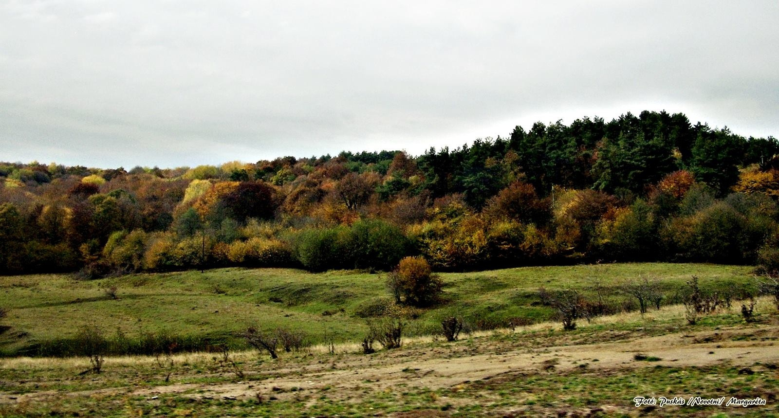 Terelőút Apahida-Torda