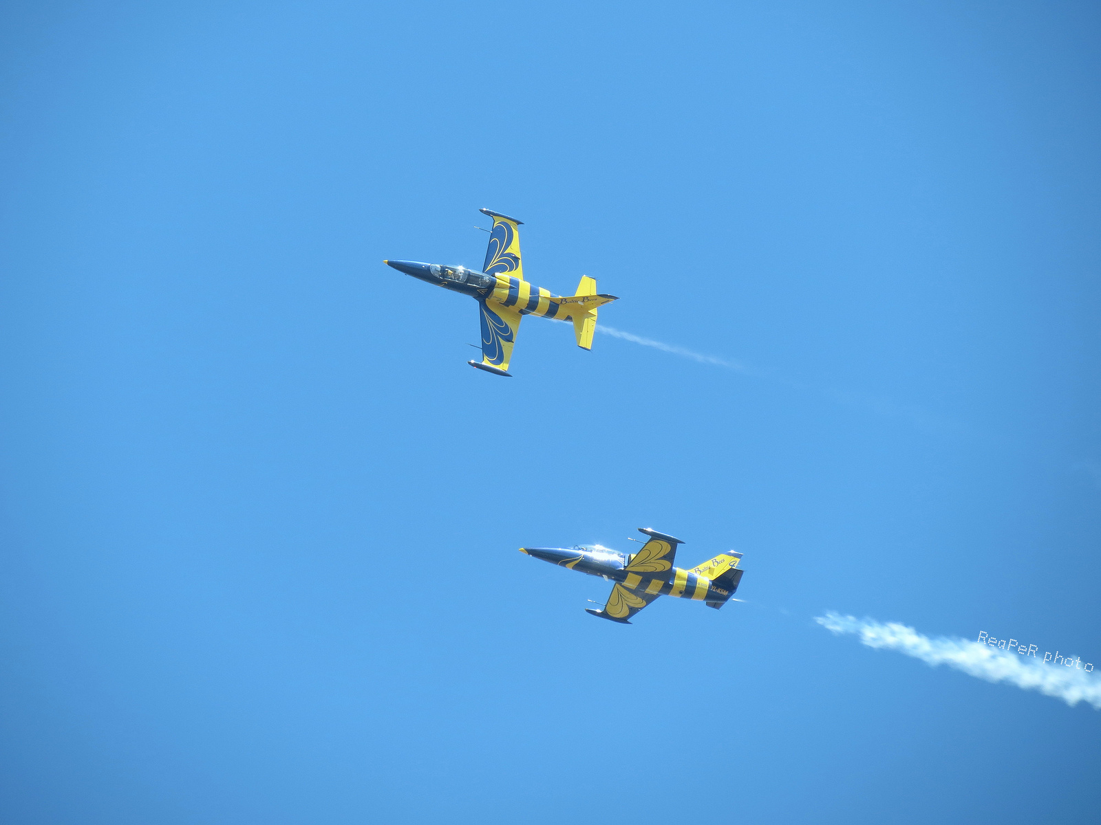 Flying Bees Litvánia L-39 Albatros