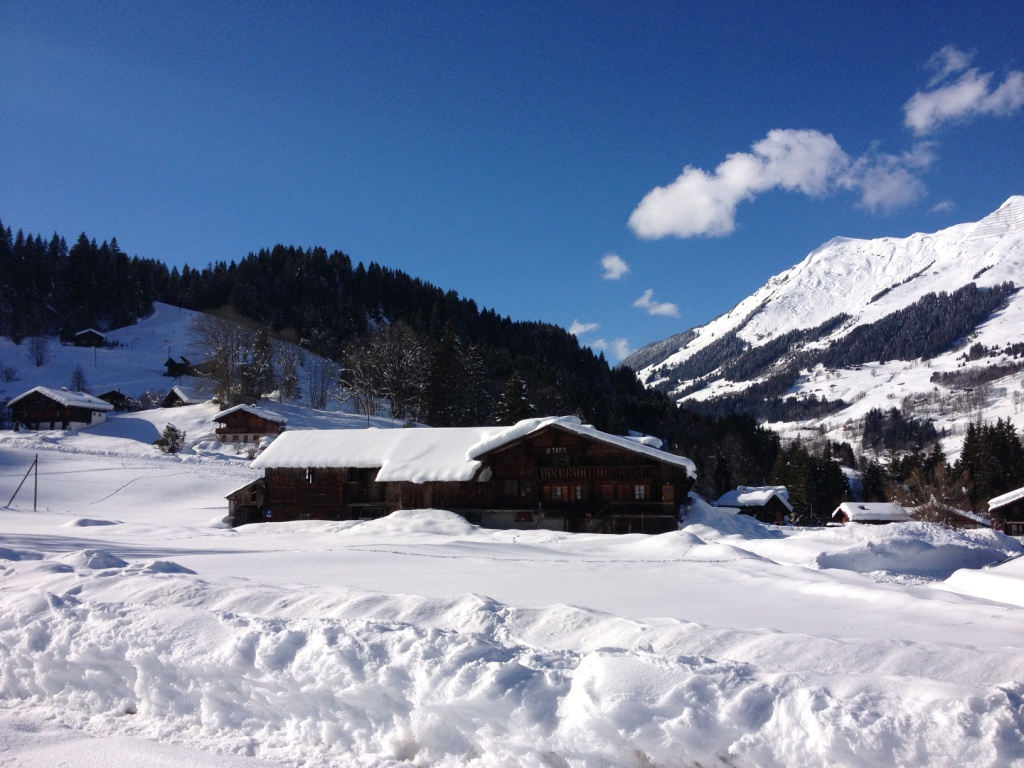 16 Les Diablerets