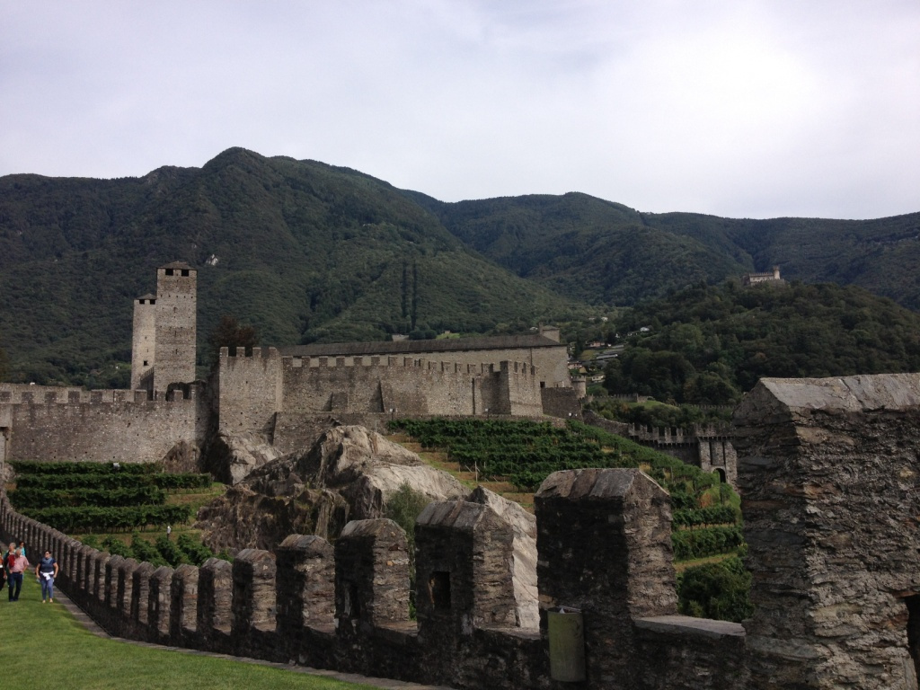 049 Bellinzona