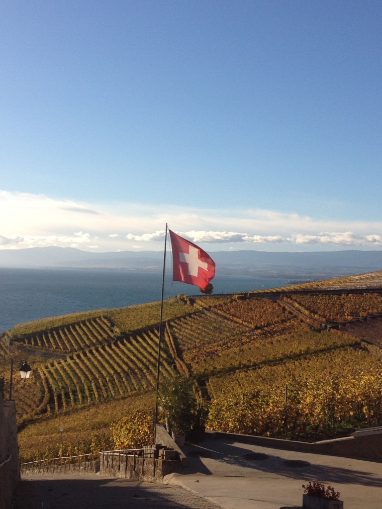 02 Lavaux