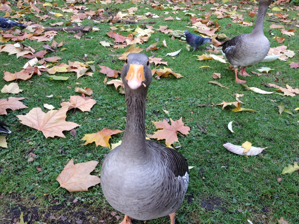 022 St. James's Park