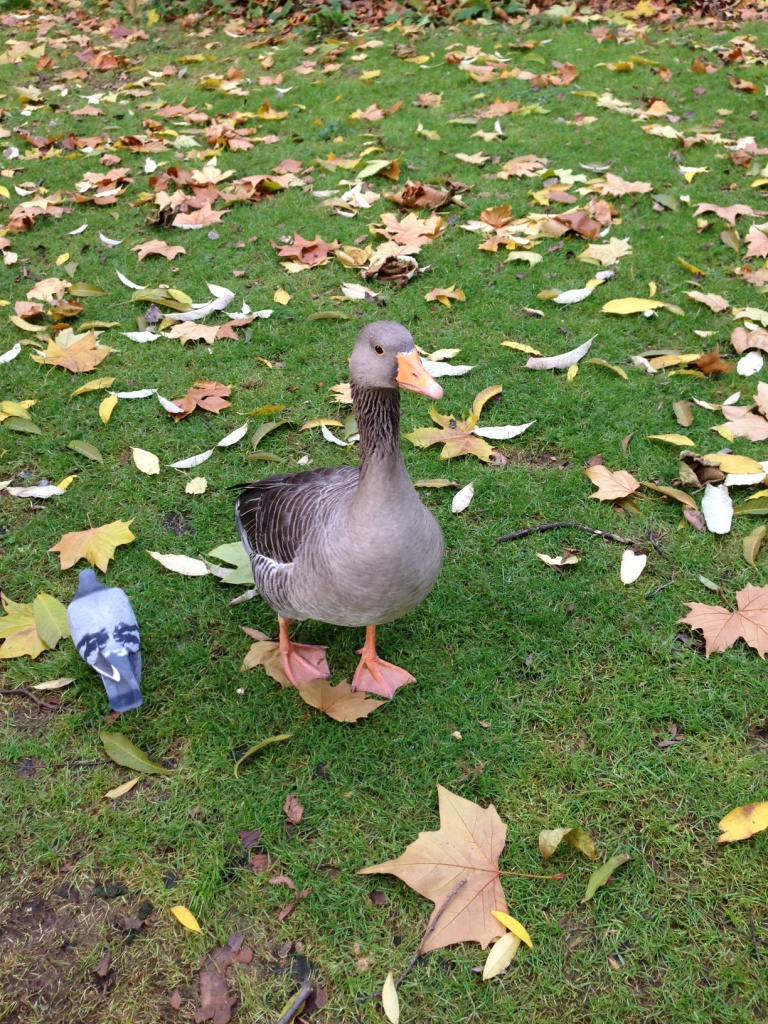 021 St. James's Park