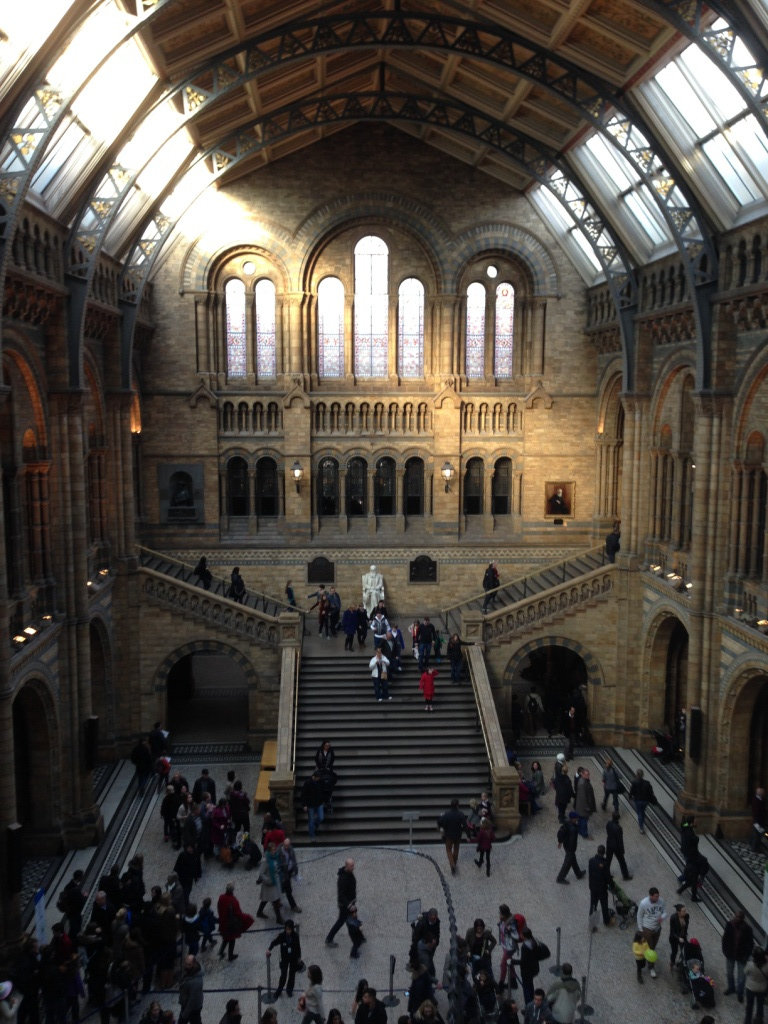 077 Natural History Museum