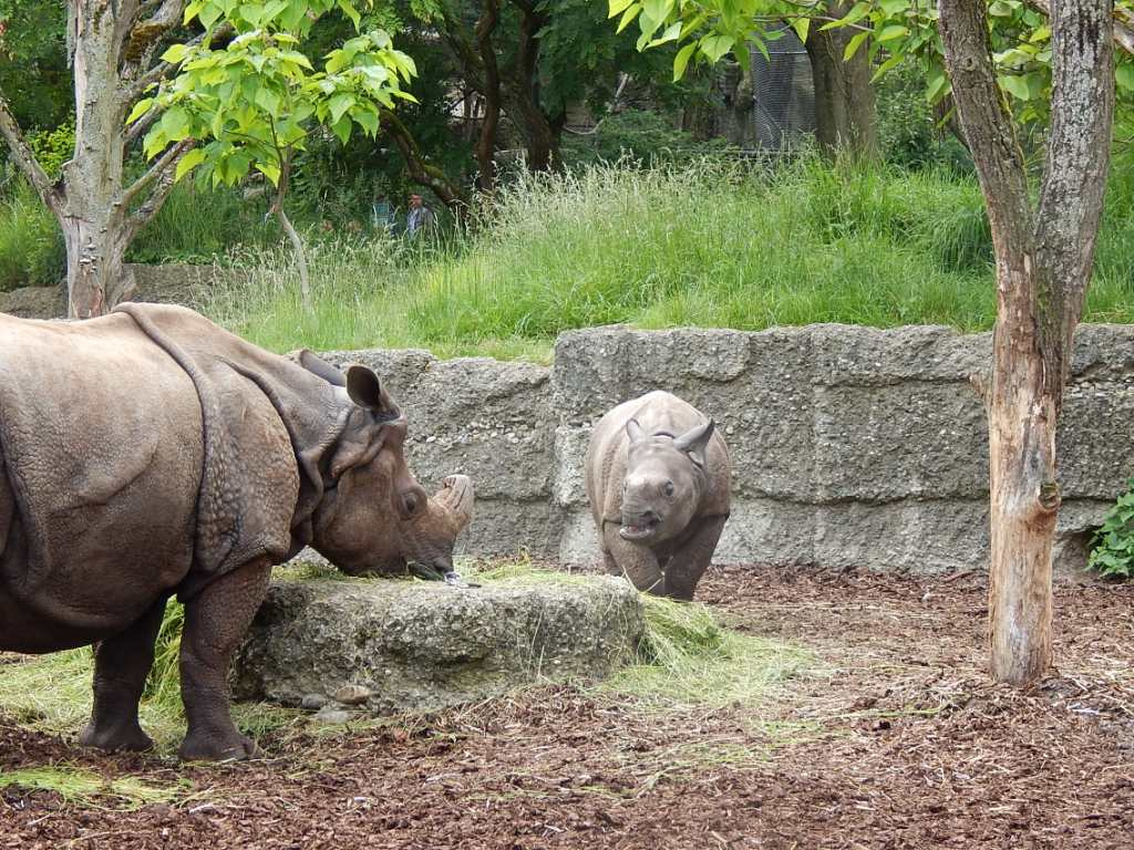 015 Basel Zoo