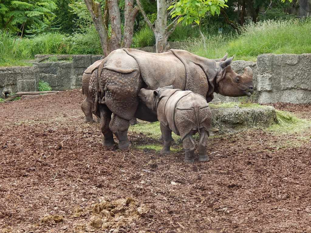 016 Basel Zoo