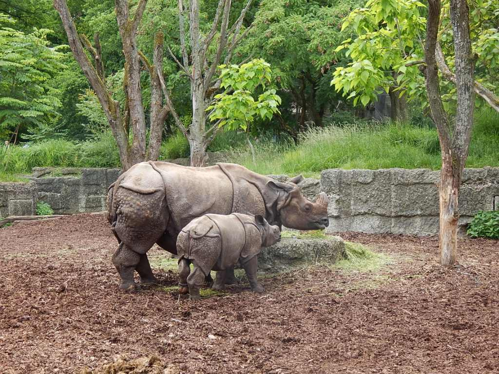 017 Basel Zoo