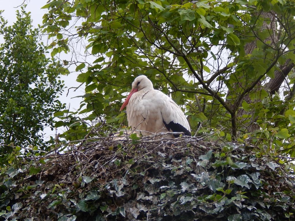 026 Basel Zoo