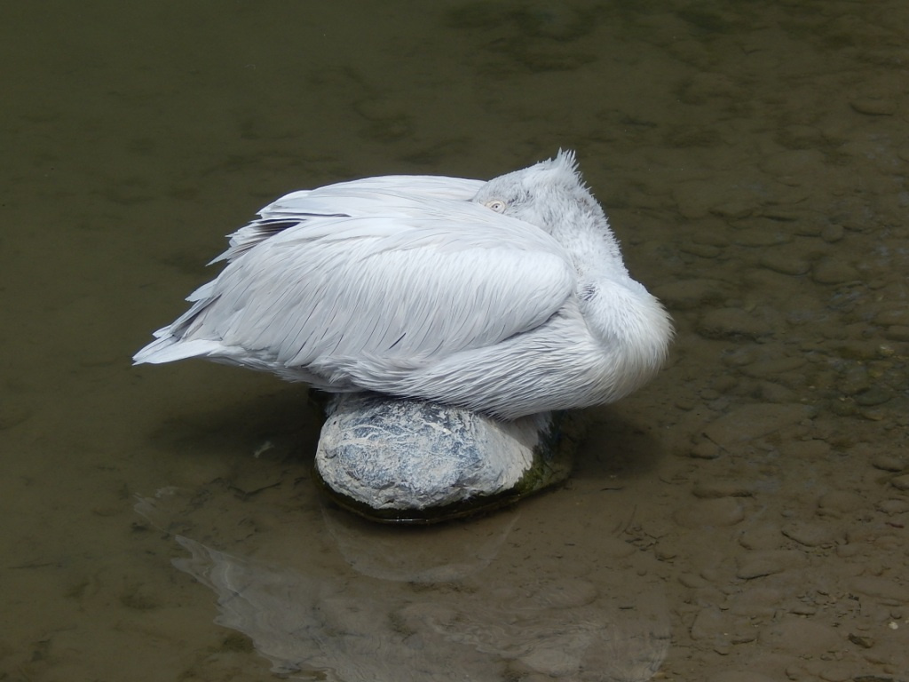 114 Bern Tierpark