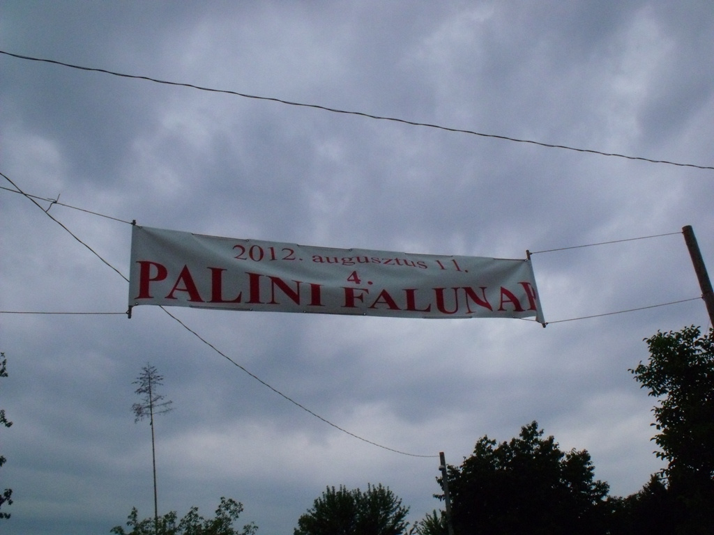 Palini Falunap (54)
