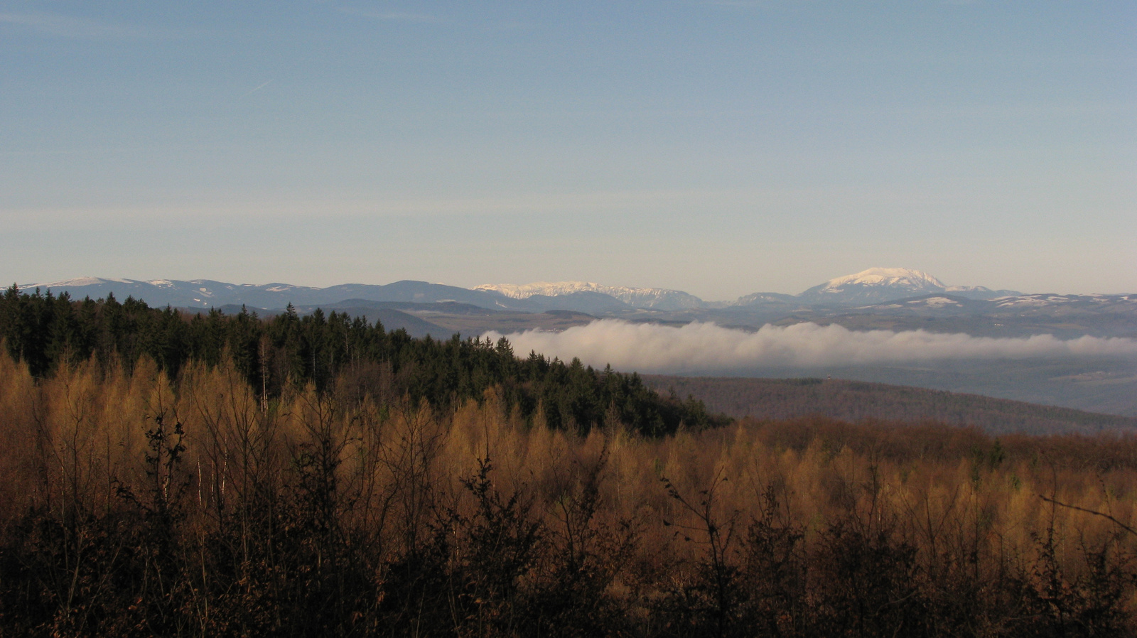 Panoráma