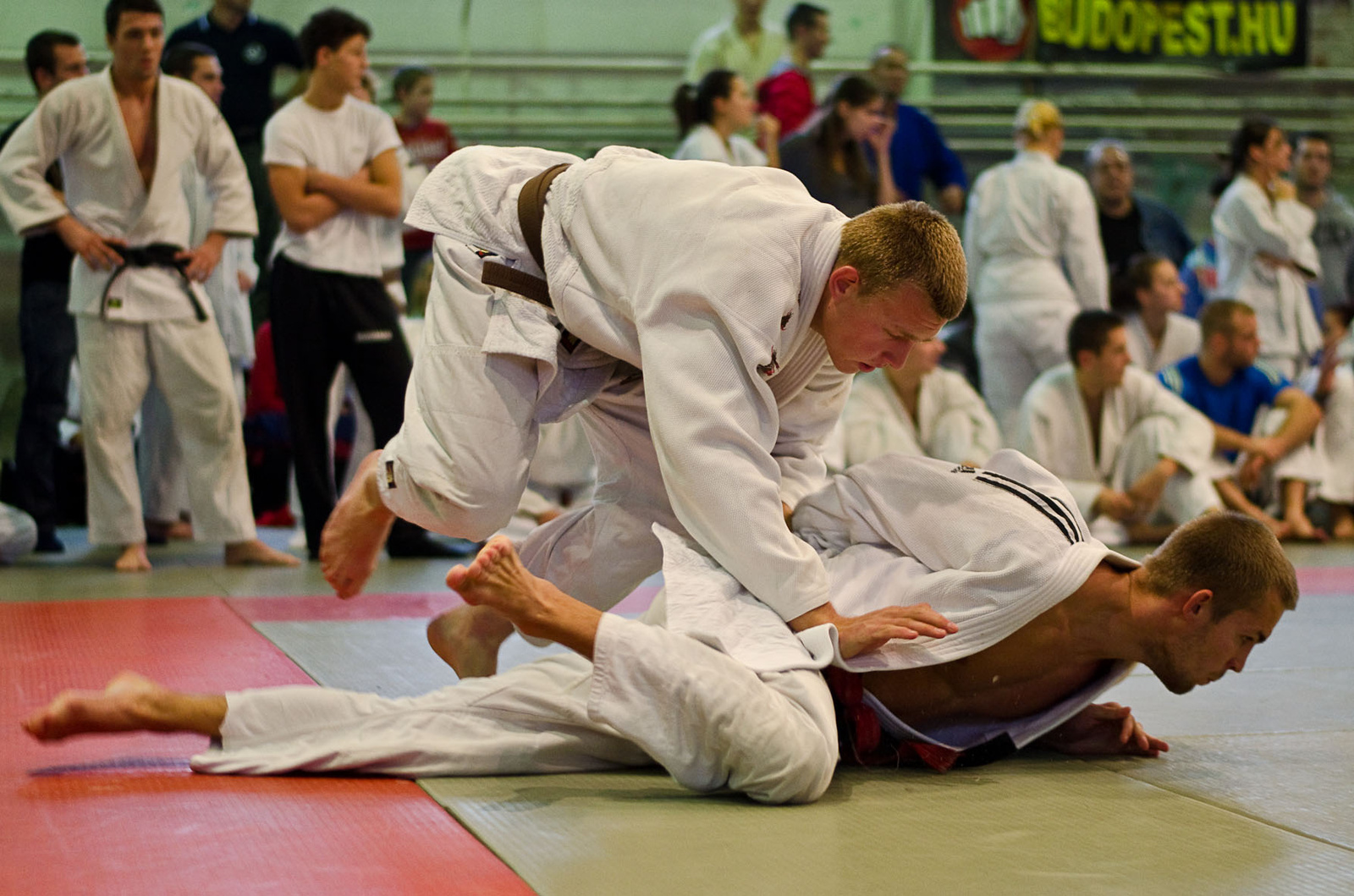 Judo MEFOB 20121125 030