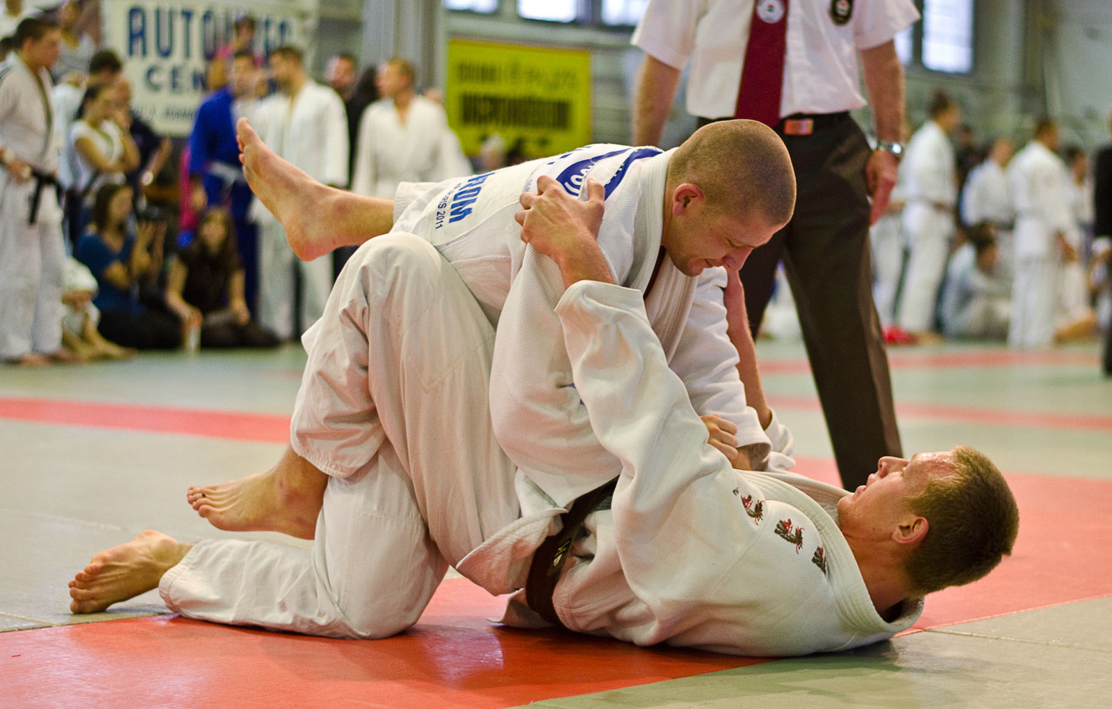 Judo MEFOB 20121125 082