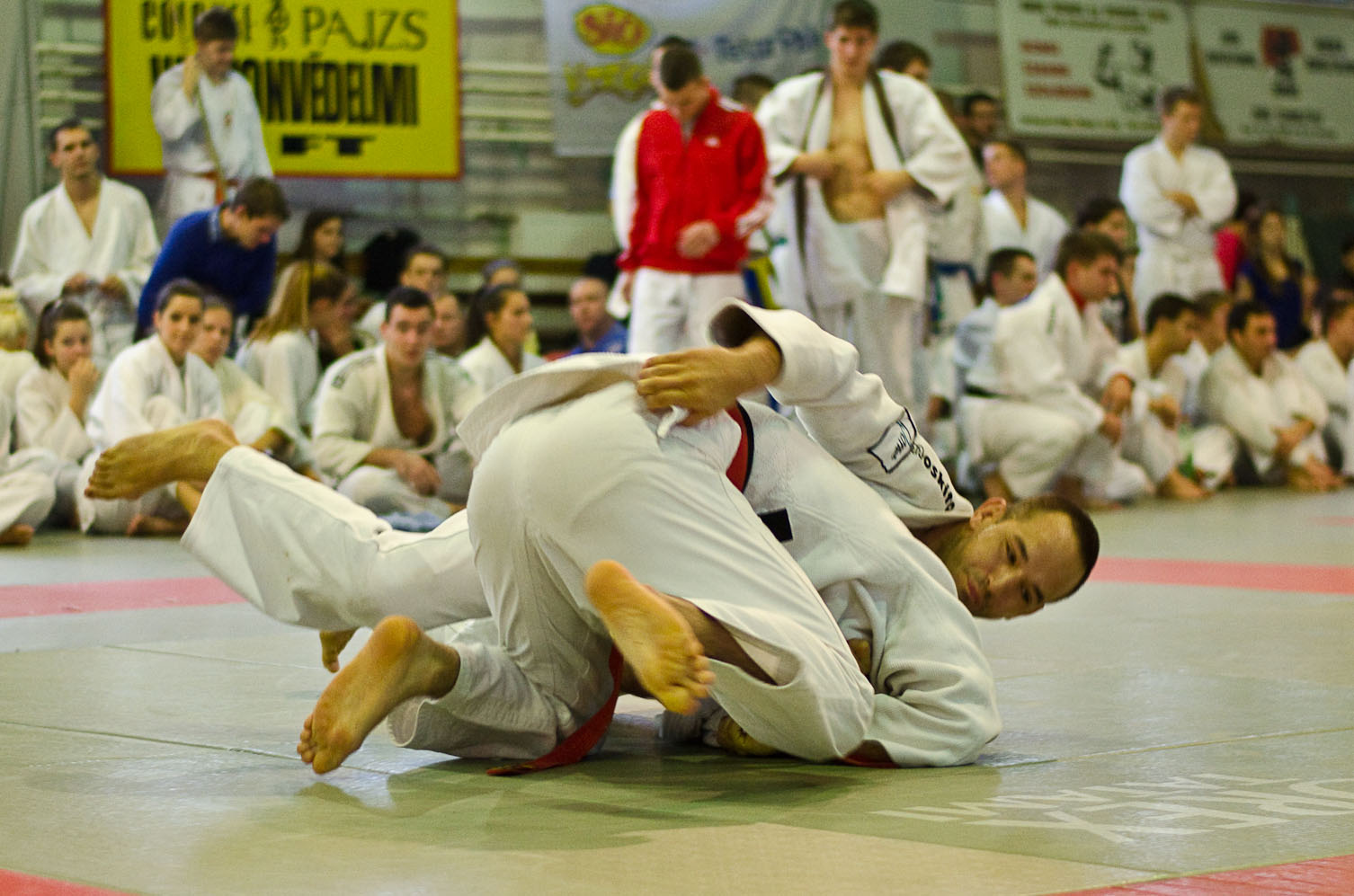 Judo MEFOB 20121125 158