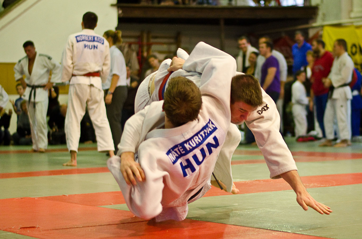 Judo MEFOB 20121125 159