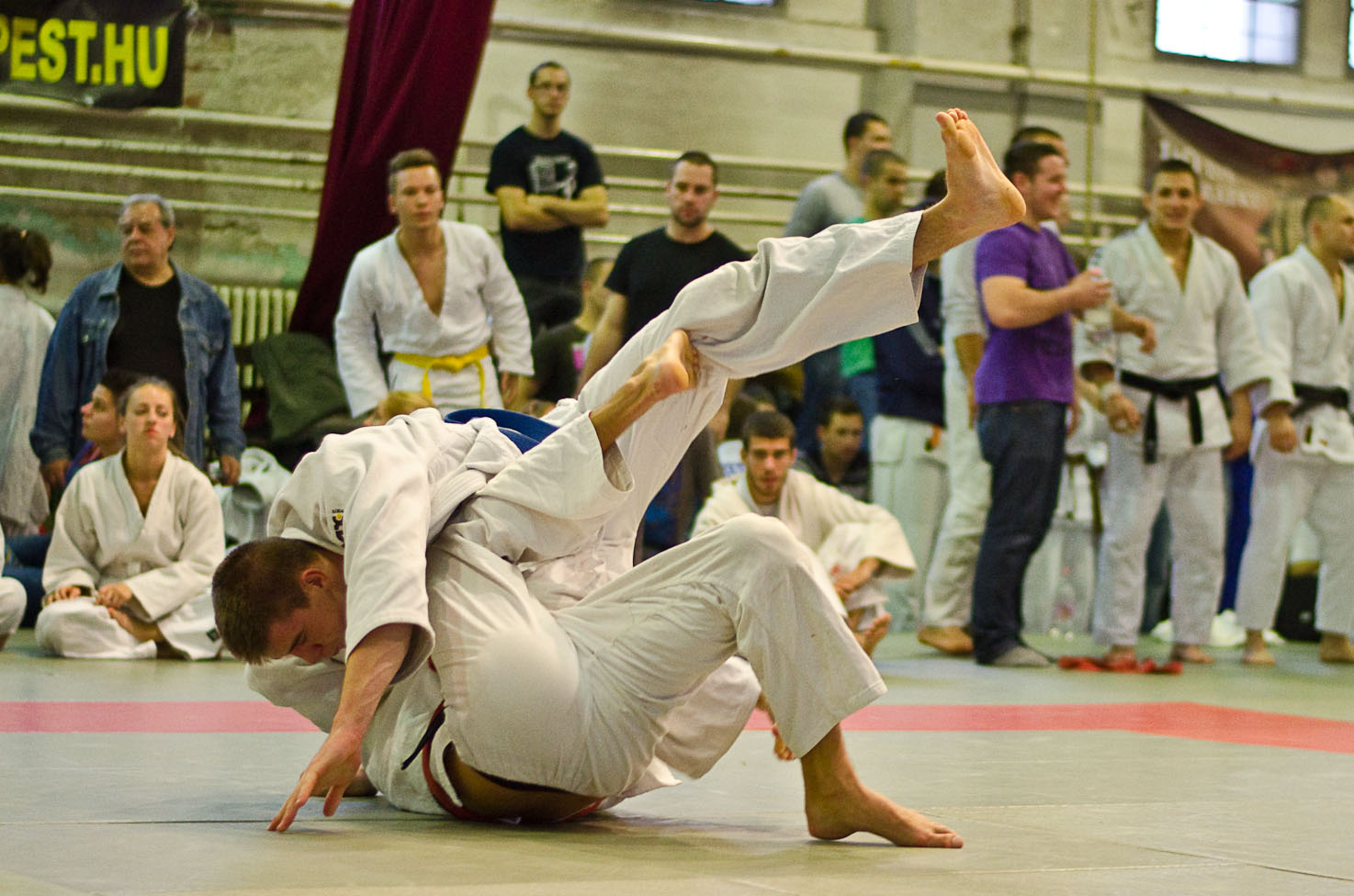 Judo MEFOB 20121125 173