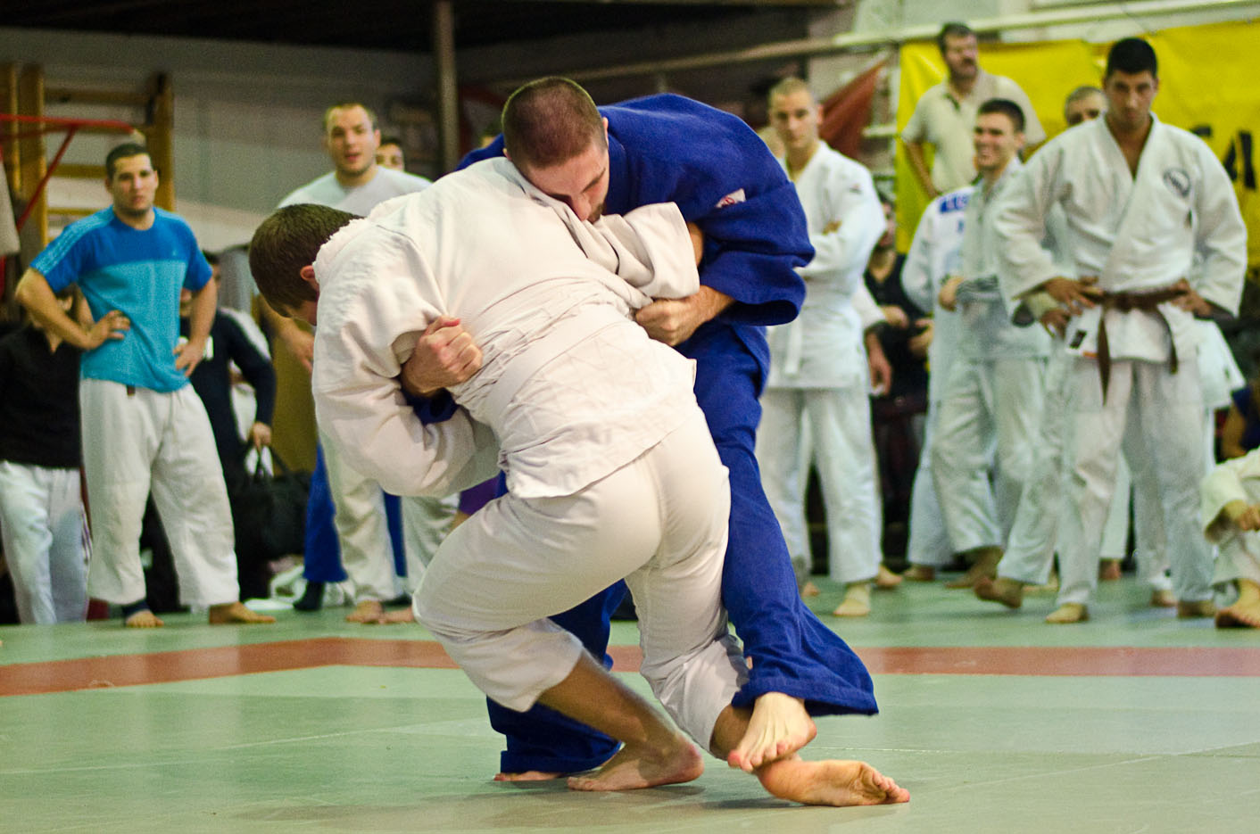 Judo MEFOB 20121125 176