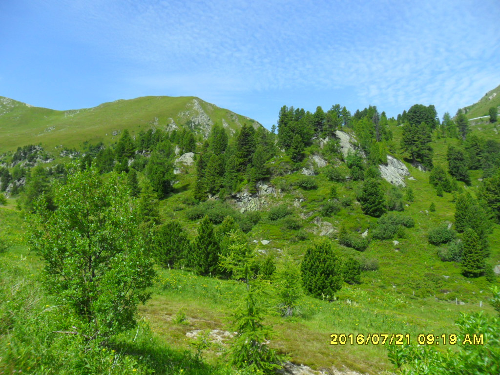 2016 Ausztria, Olaszország 037