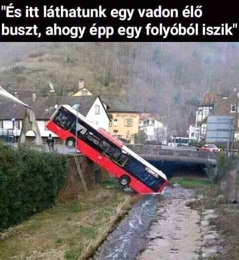 SZOMJAS BUSZ