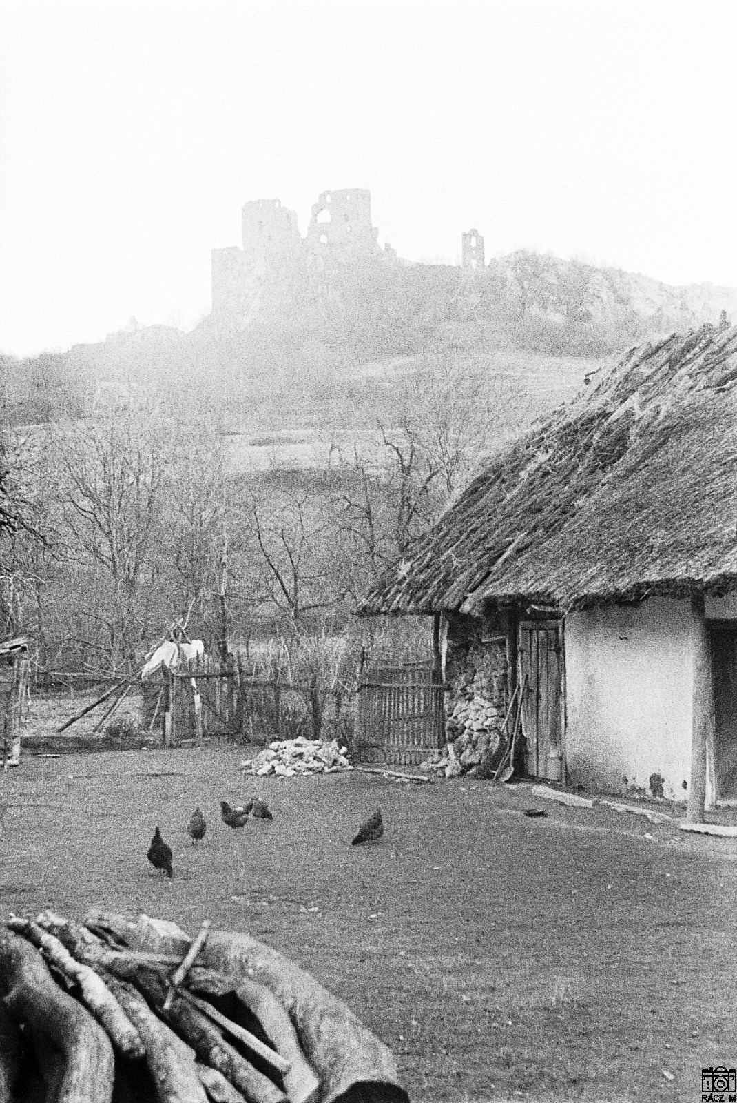 cseszneki udvar, 1974