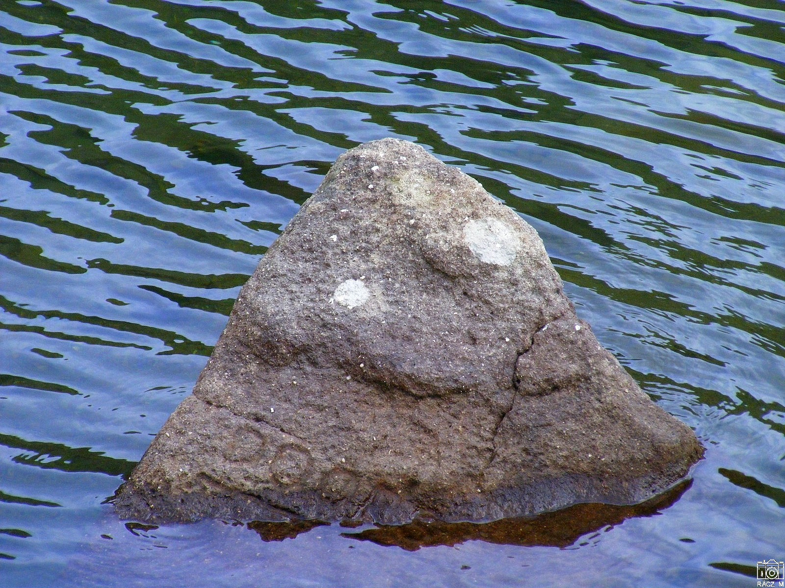rajzos kő
