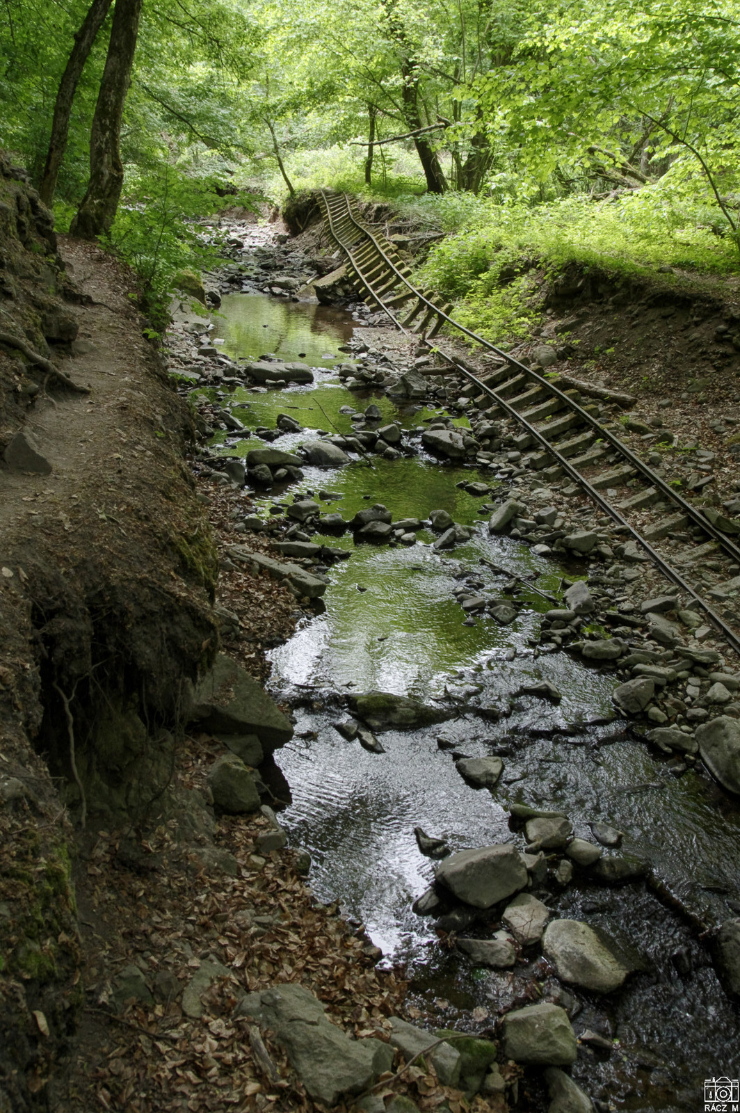 vasút a mederben