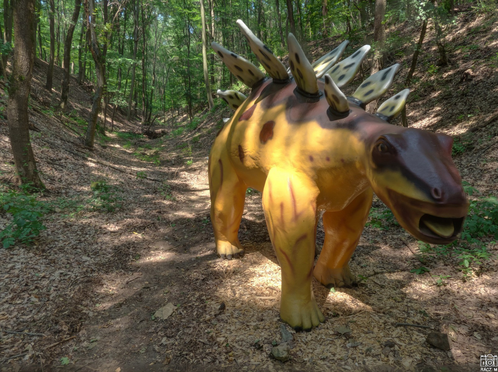 Stegosaurus Budakesziensis
