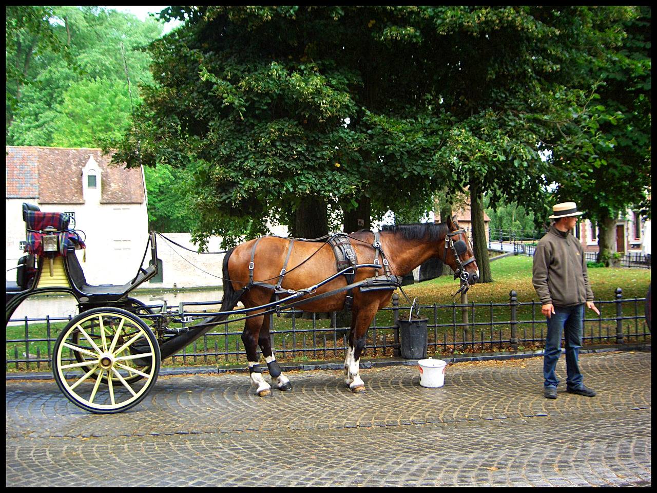 Benelux Államok 2010 208