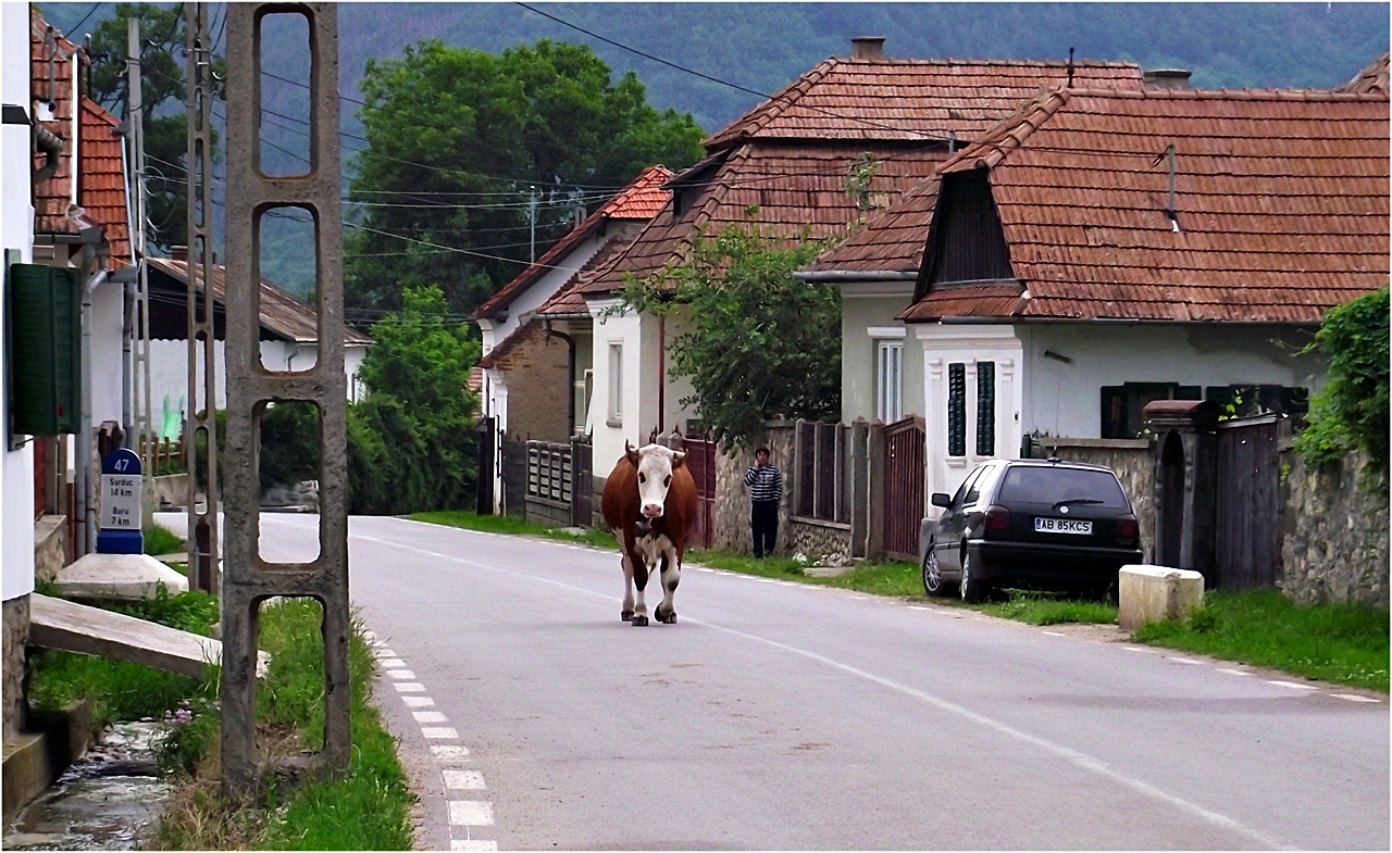 Torockó 089