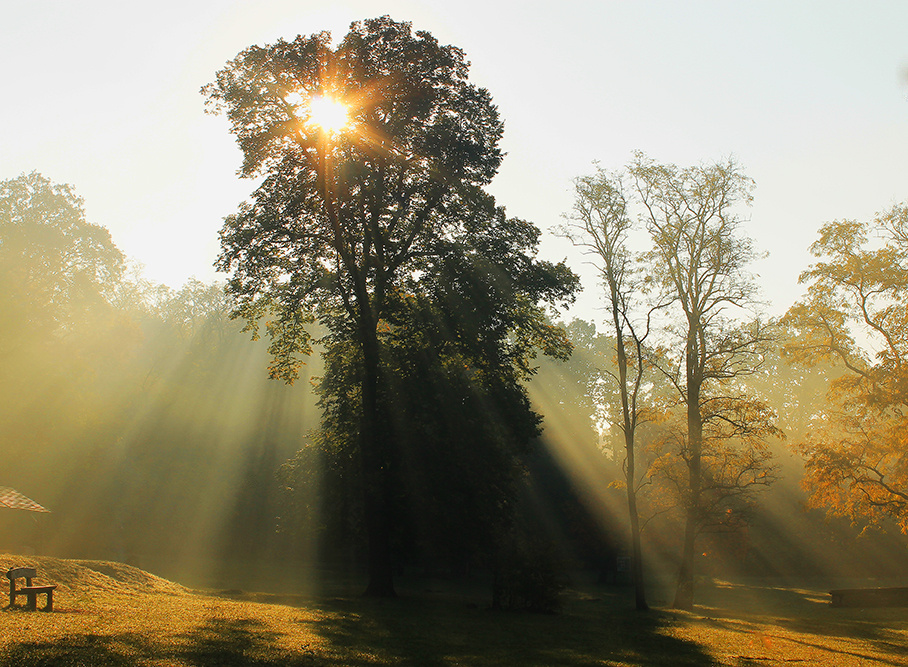 Ray of light