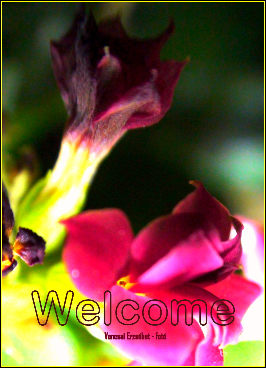 Mobilra - Welcome-Üdvözöllek felirattal 640 x 960