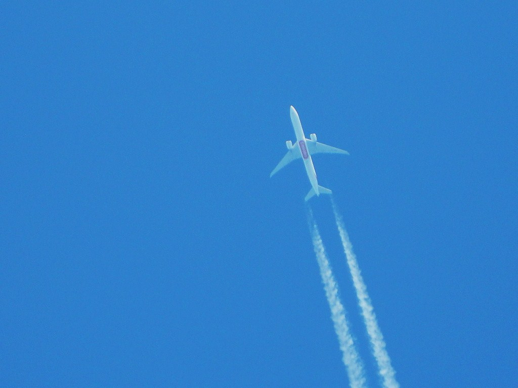 Repülő