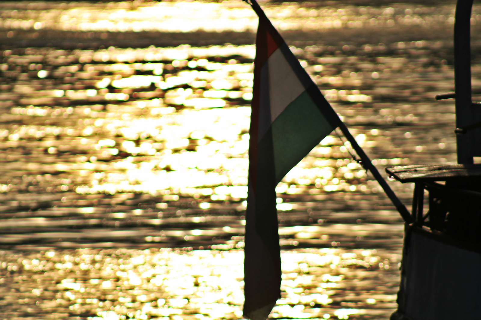 Magyar zászló ellenfényben