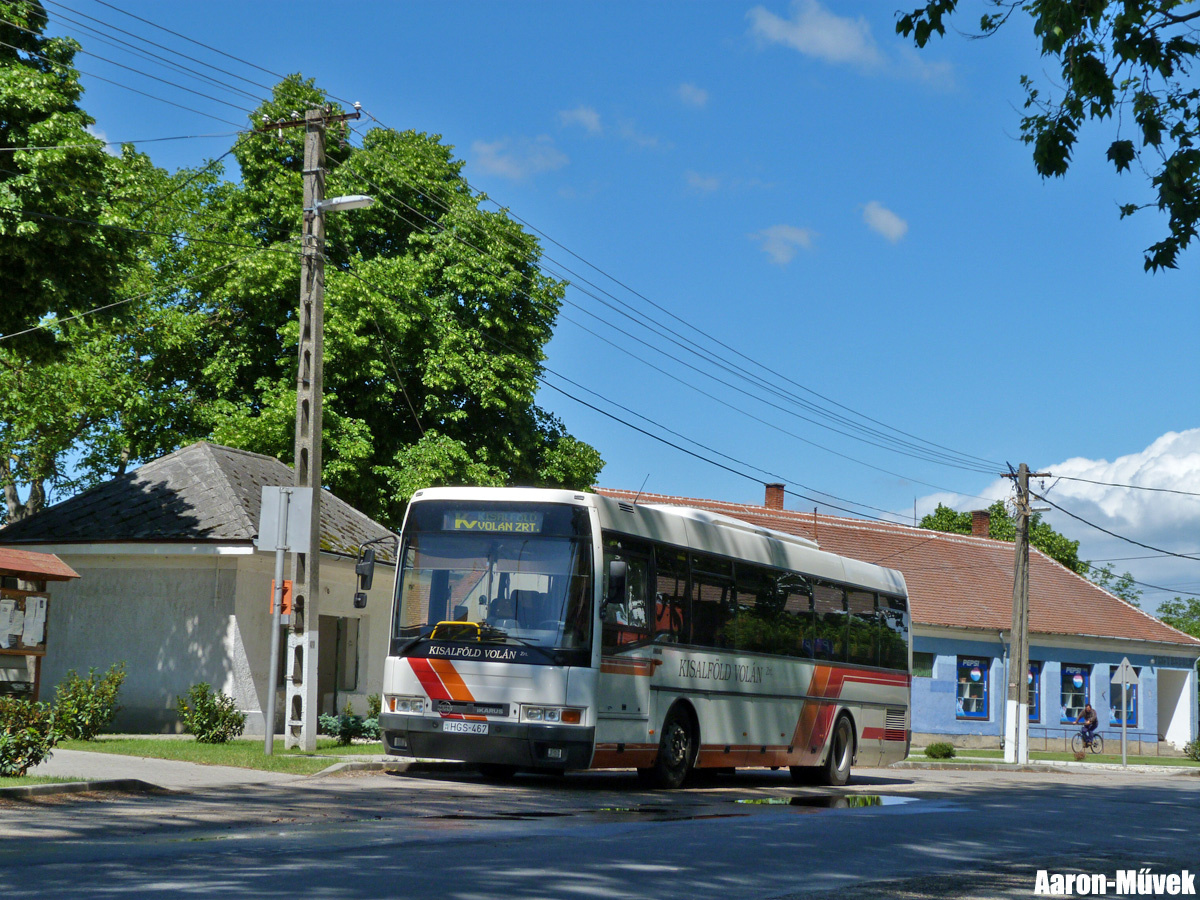 Kisalföldi rendszámvadászat (12)