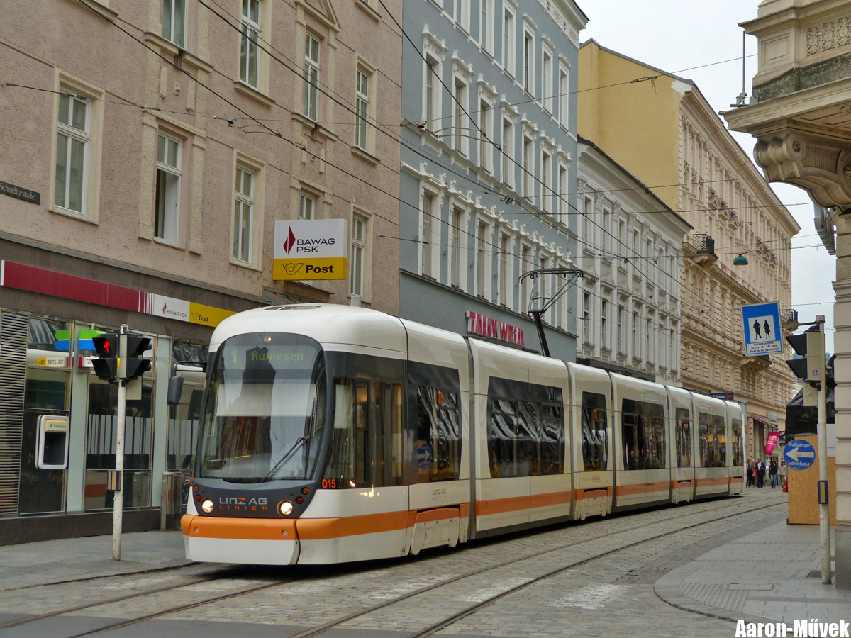 Linz 2013 (2)